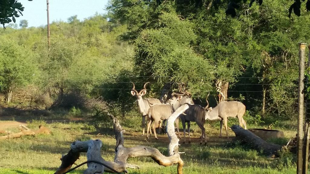 Rio Dos Elefantes River Camp Hoedspruit Exterior photo