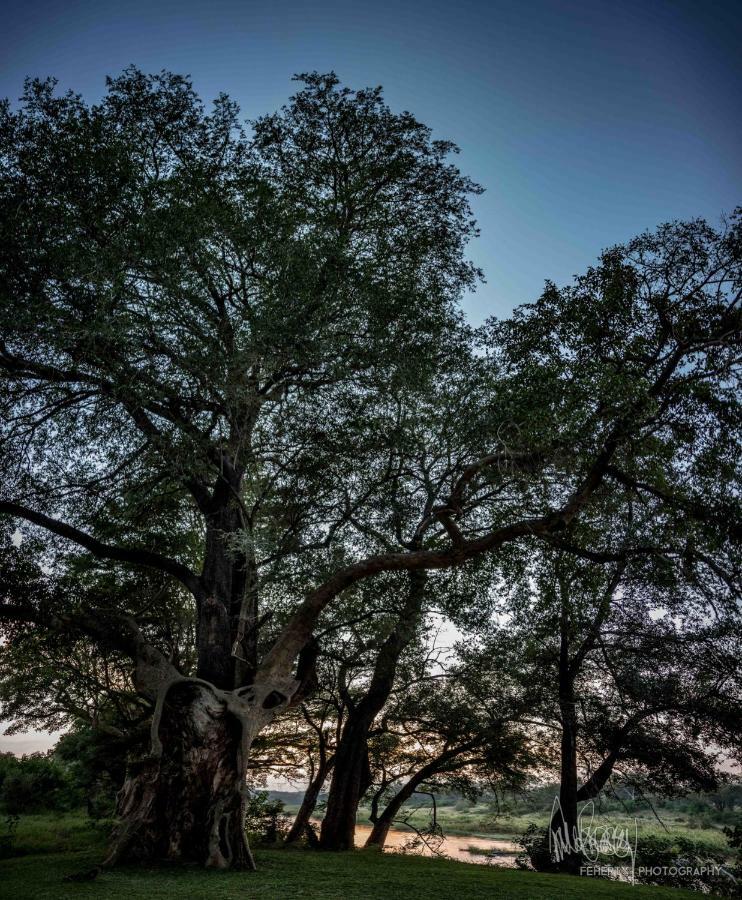 Rio Dos Elefantes River Camp Hoedspruit Exterior photo